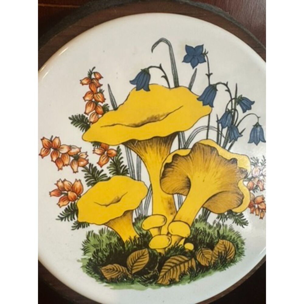 Retro Vintage Mushroom Ceramic Tile Wood Trivet Wall Gallery Wall Cottagecore Bo